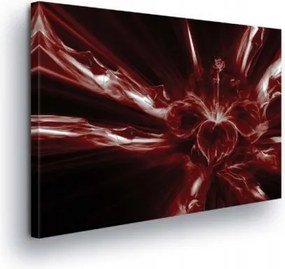 Vászonkép 80x60 Energia Robbanás Fény Mozgás Dinamika Piros Absztrakt