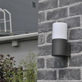 Kültéri fali lámpa DALLAS 1xE27/12W/230V IP44 antracit