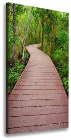 Vászonfotó Az út a dzsungelben ocv-65260817