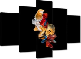 Vászonkép 150x105 Színes sziámi halak