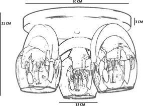 9004-3