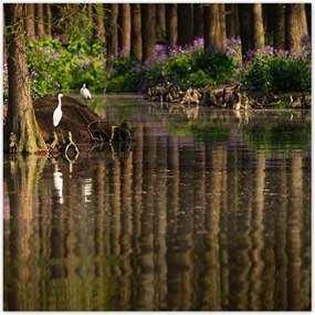 Poszterek 100x100 Tájkép Látvány