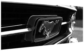 Mustang részletes képe (120x50 cm)