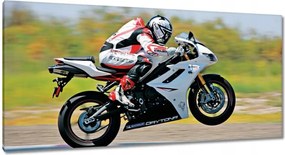 Képek 115x55 Motorkerékpár üldöző Motor