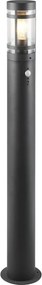 TRIO R41719142 PALOMA Modern Kültéri Állólámpa Antracit E27 IP44