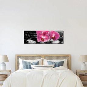 Kép - Rózsaszín orchideák (órával) (90x30 cm)