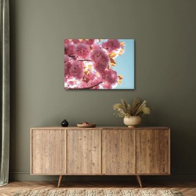 Kép - Cseresznyevirág (70x50 cm)