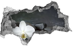 3d fali matrica lyuk a falban Orchidea nd-b-113617594