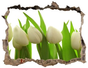 Lyuk 3d fali matrica Fehér tulipán nd-k-40774671
