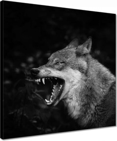 Vászonkép 40x40 Természet Emberség