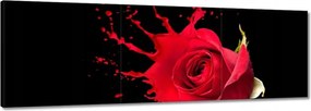 Vászonkép 60x20 Fröccsenő rózsa