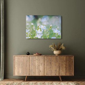 Kép - Finom virágok (90x60 cm)