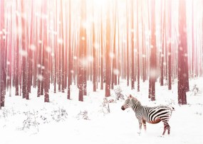 Kép - Zebra egy havas erdőben (üvegen) (70x50 cm)
