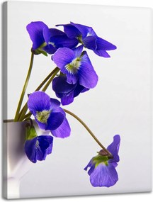 Botanika vászonkép Lila ibolyák 30x40