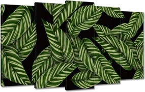 Vászonkép 100x60 Zöld levelek Trópusok