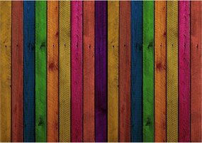 Fotótapéta flizelina Színes Fa Deszka Szivárvány Falra 200x140 +ragasztó