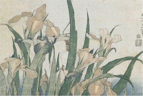 Flizelin tapéta Divatos 3D fali ragasztó Finom íriszek 104x70 Ragasztó