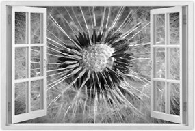 Poszterek 90x60 Pitypang Virág Virágok