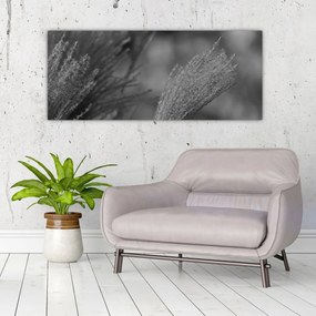 Kép - Szárított pampafű (120x50 cm)