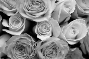 Poszter 45x30cm Közelkép rózsafüzérre, Assaf Frank