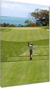 Festmények 80x120 Golfozó a mezőn