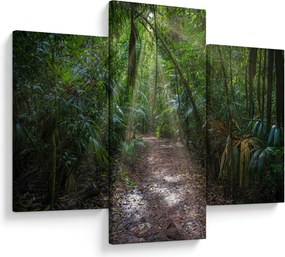 Kép - Napsugarak a dzsungelben (90x60 cm)