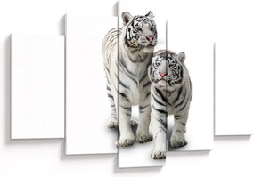 Kép - A fehér tigris (150x105 cm)