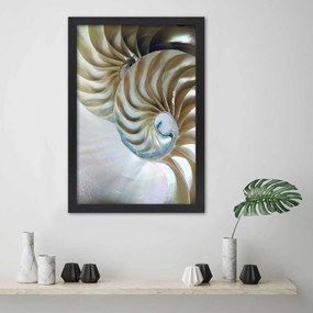 Gario Poszter Egy kagyló belseje A keret színe: Fekete, Méret: 70 x 100 cm
