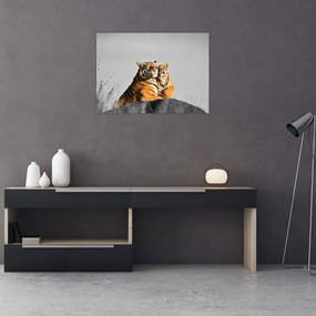 Kép - Tigris és a kölyke, fekete-fehér változat (üvegen) (70x50 cm)