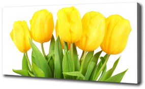 Egyedi vászonkép Sárga tulipánok oc-50296445