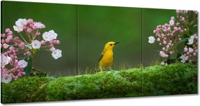 Vászonkép 180x90 Madárka