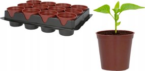 Palántanevelő kaspó 12db x1 paletta átmérő 6cm