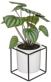 Műnövény, nyílgyökér, fém vázában, 32 cm - MARANTA