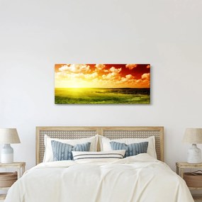 Nyári rét képe (120x50 cm)