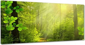 Festmények 180x90 Varázslatos erdő Tájkép