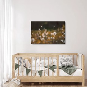 Kép - Gyapotfűvel borított rét N⁰2 (90x60 cm)
