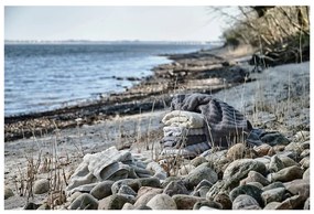 Világosszürke pamut fürdőlepedő 70x140 cm Inu – Zone