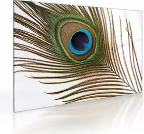 Pávatoll képe (üvegen) (70x50 cm)