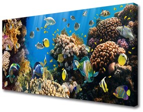 Vászonkép nyomtatás Barrier Reef Nature 140x70 cm