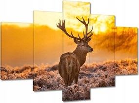 Képek 150x105 Szarvas napfelkeltekor