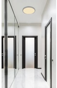 Globo 41562-24N - LED Dimmelhető fürdőszobai lámpa SAPANA LED/24W/230V IP44