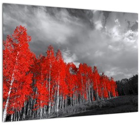 Kép - fák őszi színben (üvegen) (70x50 cm)