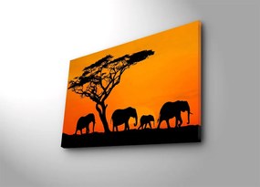 Led világítású kép Elefántok Séta 53 45 x 70 cm