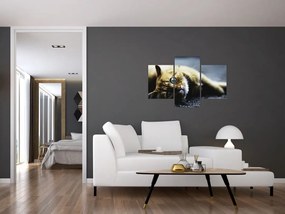 Macska képe (90x60 cm)
