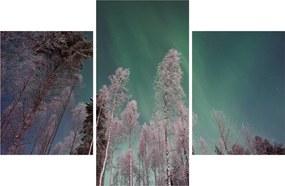 Az aurora borealis képe fagyos fák felett (90x60 cm)