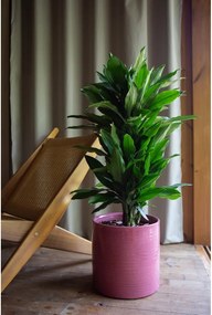 Kerámia kézzel készített kaspó ø 25 cm Fortuna – Artevasi