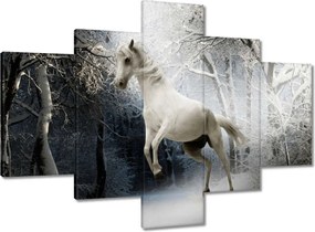 Vászonkép 100x70 Fehér paripa