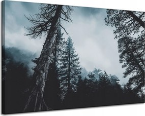 Vászonkép Természet Korona Fák Erdő 120x80 cm