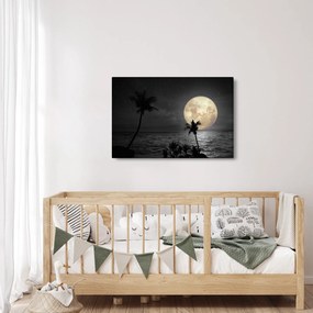 Kép - A strand a telihold alatt szürke tónusokkal (90x60 cm)