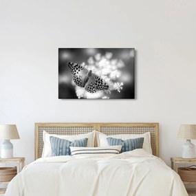 Kép - Részlet egy virágot beporzó pillangóról (90x60 cm)